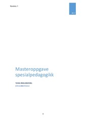 Miniatyrbilde