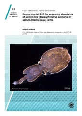 Miniatyrbilde